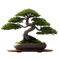 verde bonsai árbol en un maceta. ai generado png