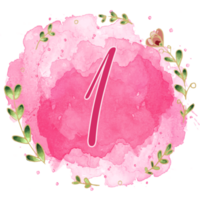 roze waterverf alfabet reeks met bloemen en bladeren ronde kader, omvat doopvont of brieven en nummers. mooi elementen voor decoratief doeleinden png
