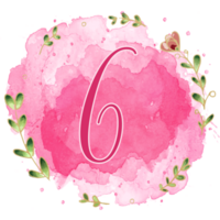 Pink watercolor alphabet set with floral and leaves round frame, includes font or letters and numbers. Beautiful elements for decorative purposes png