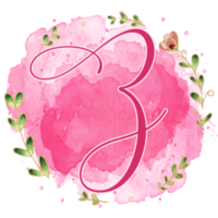 Pink watercolor alphabet set with floral and leaves round frame, includes font or letters and numbers. Beautiful elements for decorative purposes png