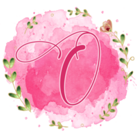 Pink watercolor alphabet set with floral and leaves round frame, includes font or letters and numbers. Beautiful elements for decorative purposes png