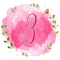 Pink watercolor alphabet set with floral and leaves round frame, includes font or letters and numbers. Beautiful elements for decorative purposes png