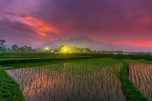 hermosa vista de la mañana indonesia panorama paisaje arrozales con color de belleza y luz natural del cielo foto