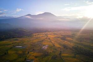 hermosa vista de la mañana indonesia panorama paisaje arrozales con color de belleza y luz natural del cielo foto