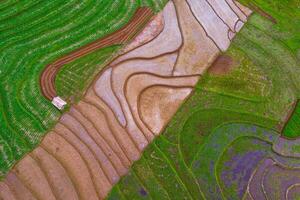 Beautiful morning view indonesia Panorama Landscape paddy fields with beauty color and sky natural light photo