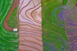 Beautiful morning view indonesia Panorama Landscape paddy fields with beauty color and sky natural light photo