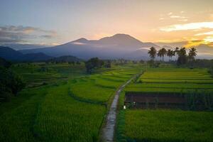 Beautiful morning view indonesia Panorama Landscape paddy fields with beauty color and sky natural light photo