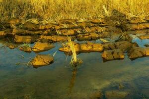 Beautiful morning view indonesia Panorama Landscape paddy fields with beauty color and sky natural light photo