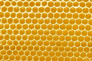 Honeycombs with sweet golden honey on whole background, close up. Background texture, pattern of section of wax honeycomb photo