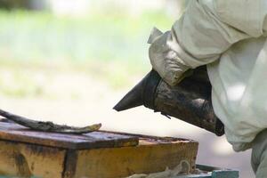 professional beekeeper in protective workwear inspecting honeycomb frame at apiary. beekeeper harvesting honey photo