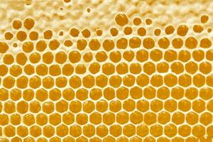 Honeycombs with sweet golden honey on whole background, close up. Background texture, pattern of section of wax honeycomb photo