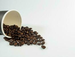 Roasted Arabica coffee beans, ready to make coffee that people like to drink. Placed in a black coffee cup paper on the background. Looks beautiful and appetizing. Drink. photo