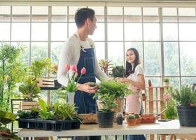 Portrait beautiful woman smiling Asian bastard Thai-Chinese long black hair wearing white T-shirt. Pink apron With hand holding small tree basket inside room, arranged in white beautiful happy relax photo