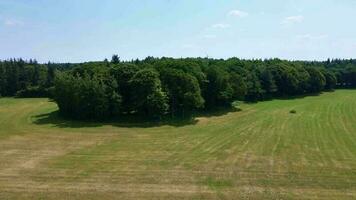 Drone view of a mixed forest with green trees in northern Germany. video