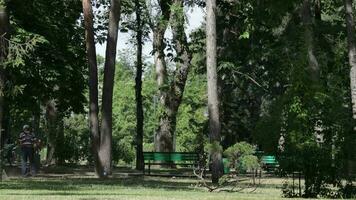 gardener cut the grass at the park using grass cutting machine video