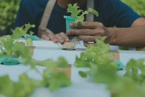 asiático joven Pareja granjero en invernadero hidropónico participación cesta de vegetal. ellos son cosecha vegetales verde ensalada. foto