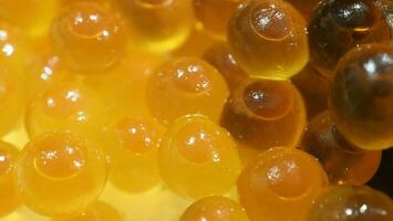 Close up of sashimi salmon roe with rice bowl or donburi in Japanese style food. photo