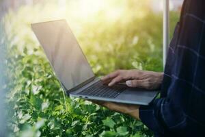 Farmer Plantation checking quality by tablet agriculture modern technology Concept. Smart farming, using modern technologies in agriculture. Man agronomist farmer with digital tablet computer. photo