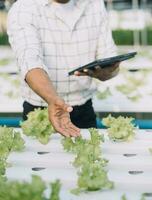 Farmer Plantation checking quality by tablet agriculture modern technology Concept. Smart farming, using modern technologies in agriculture. Man agronomist farmer with digital tablet computer. photo