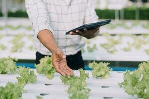 Farmer Plantation checking quality by tablet agriculture modern technology Concept. Smart farming, using modern technologies in agriculture. Man agronomist farmer with digital tablet computer. photo