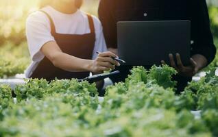 Farmer Plantation checking quality by tablet agriculture modern technology Concept. Smart farming, using modern technologies in agriculture. Man agronomist farmer with digital tablet computer. photo