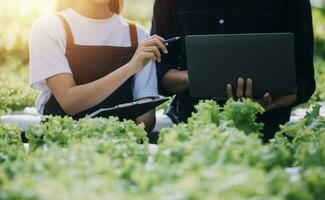 Farmer Plantation checking quality by tablet agriculture modern technology Concept. Smart farming, using modern technologies in agriculture. Man agronomist farmer with digital tablet computer. photo