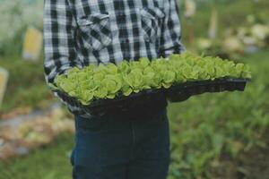 orgánico granja ,obrero pruebas y recoger ambiente datos desde bok choy orgánico vegetal a invernadero granja jardín. foto