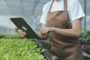 woman in the hydroponic vegetable farm grows wholesale hydroponic vegetables in restaurants and supermarkets, organic vegetables. new generations growing vegetables in hydroponics concept photo