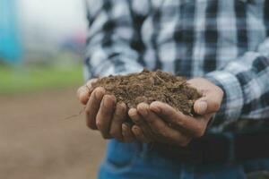 Male hands touching soil on the field. A farmer checks quality of soil before sowing. Agriculture, gardening or ecology concept. photo