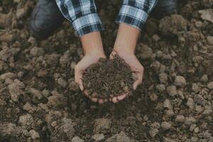 Male hands touching soil on the field. A farmer checks quality of soil before sowing. Agriculture, gardening or ecology concept. photo