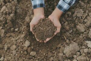 Male hands touching soil on the field. A farmer checks quality of soil before sowing. Agriculture, gardening or ecology concept. photo