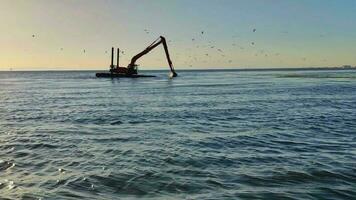 graafmachine schoonmaak marinier afval en vogelstand vliegend filmmateriaal. video