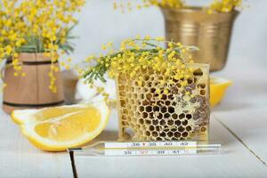 Mimosa flowers, honeycomb,two pieces of lemon photo