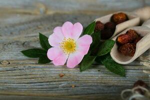 Fresco Rosa cadera en un de madera superficie. foto