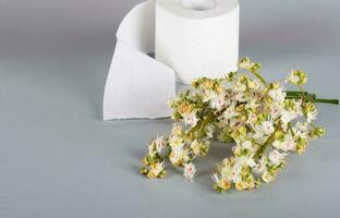 Horse chestnut flowers on a gray surface. Roll of toilet paper in the background. photo