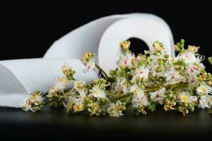 Horse chestnut flowers. Roll of toilet paper in the background photo