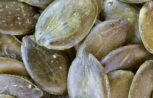 Green pumpkin seeds. Background photo