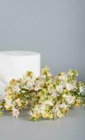 Horse chestnut flowers on a gray surface. Roll of toilet paper in the background. photo