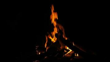 pessoas sentado de a fogo dentro inverno video
