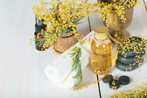 Mimosa flowers massage oil  in glass bottle. photo