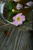 Fresh rose hip on a cup plate. photo