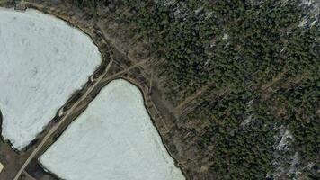 Birds eye view on rare planted trees and frozen lakes in the park. photo