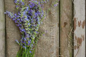 Lavender twigs on a gray wooden surface. Top view photo