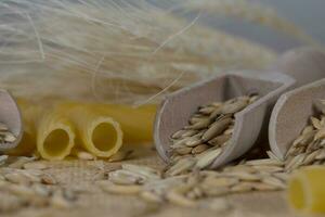 Rye grains in wooden spoons. photo