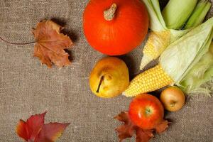 Fruits and vegetables. Top view photo