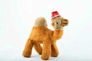 Plush camel in Santa Claus hat on a white background. photo