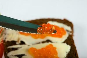 Cereal black bread with butter and red caviar. photo