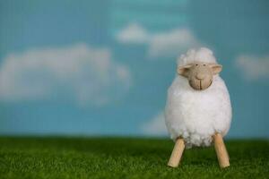 Small white lamb on an artificial grass. Blue sky in the background. photo