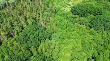 Drönare se av en blandad skog med grön träd i nordlig Tyskland. video