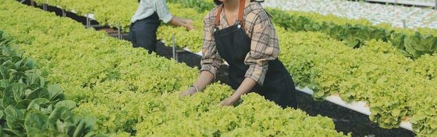 mujer jardinero inspecciona calidad de verde roble lechuga en invernadero jardinería. hembra asiático horticultura granjero cultivar sano nutrición orgánico ensalada vegetales en hidropónico agronegocios granja. foto